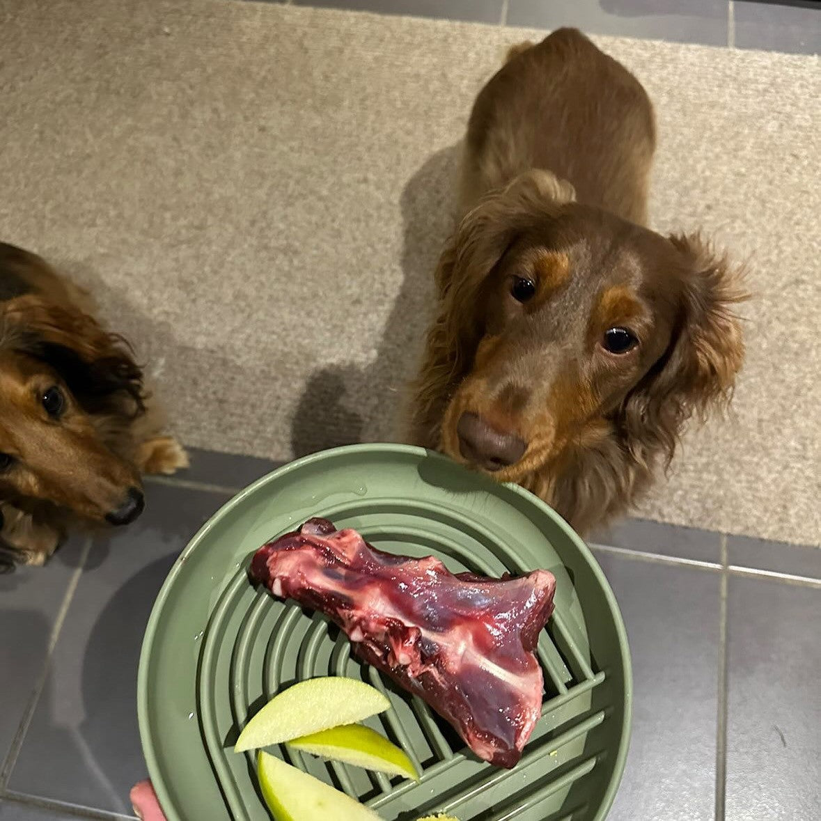 Kangaroo brisket for dogs 4 pieces