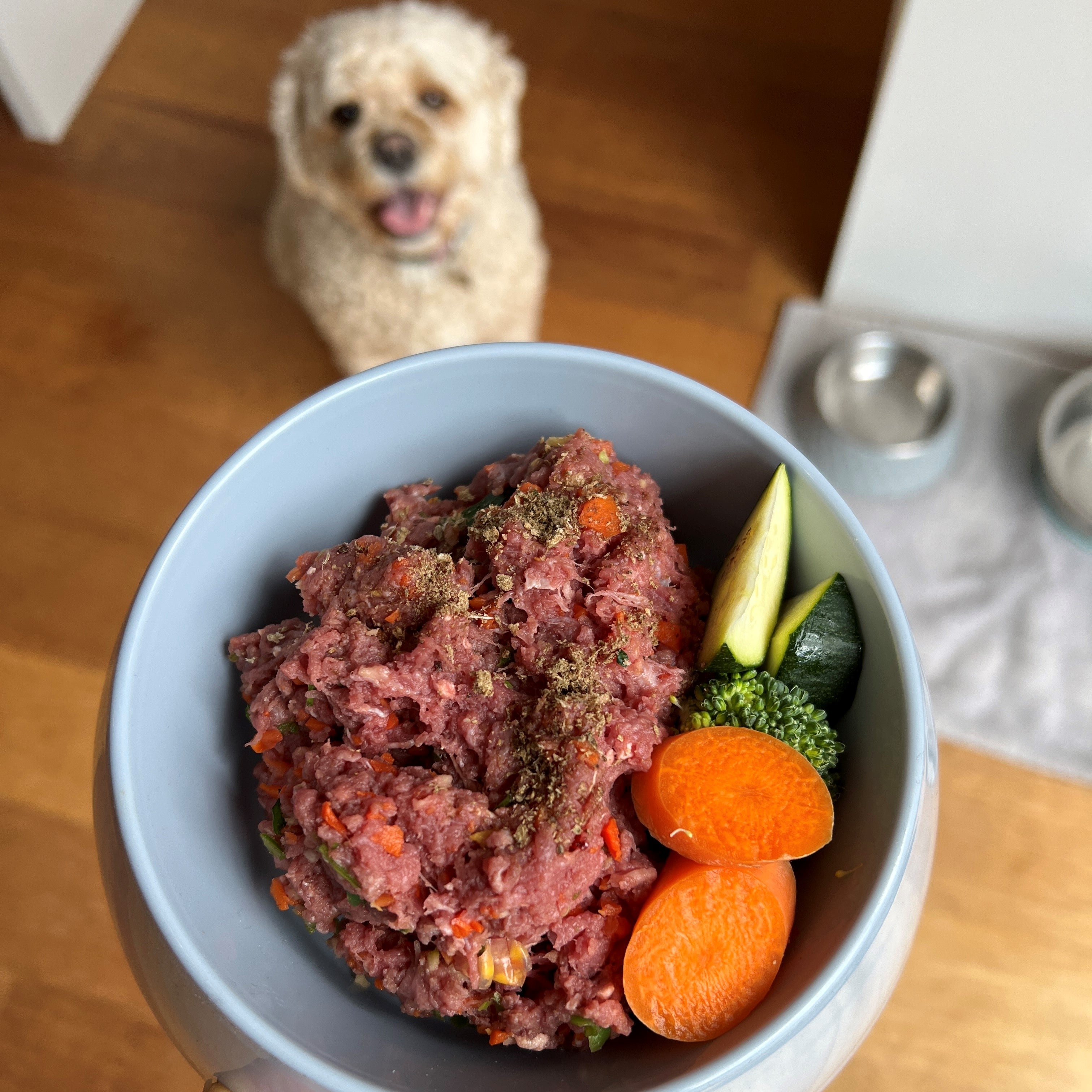 Raw kangaroo mince pet food 500g wild oz